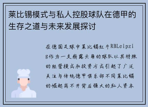 莱比锡模式与私人控股球队在德甲的生存之道与未来发展探讨