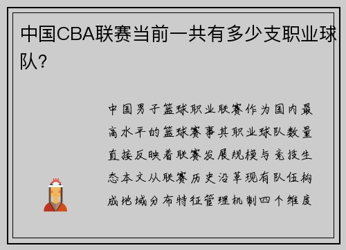 中国CBA联赛当前一共有多少支职业球队？
