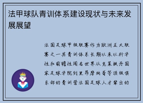法甲球队青训体系建设现状与未来发展展望